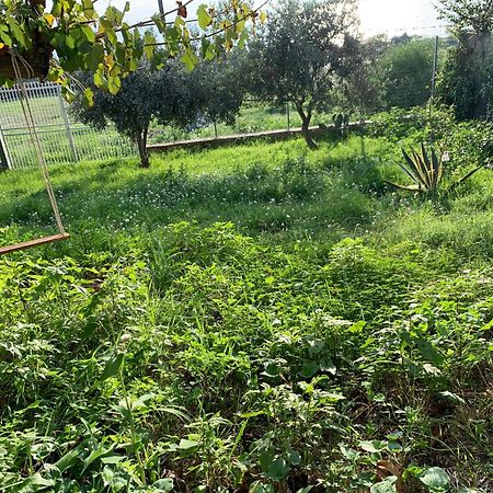 Casa Rituzza Daire San Leone Dış mekan fotoğraf
